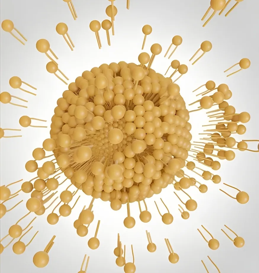 ACTISOMES - Front View