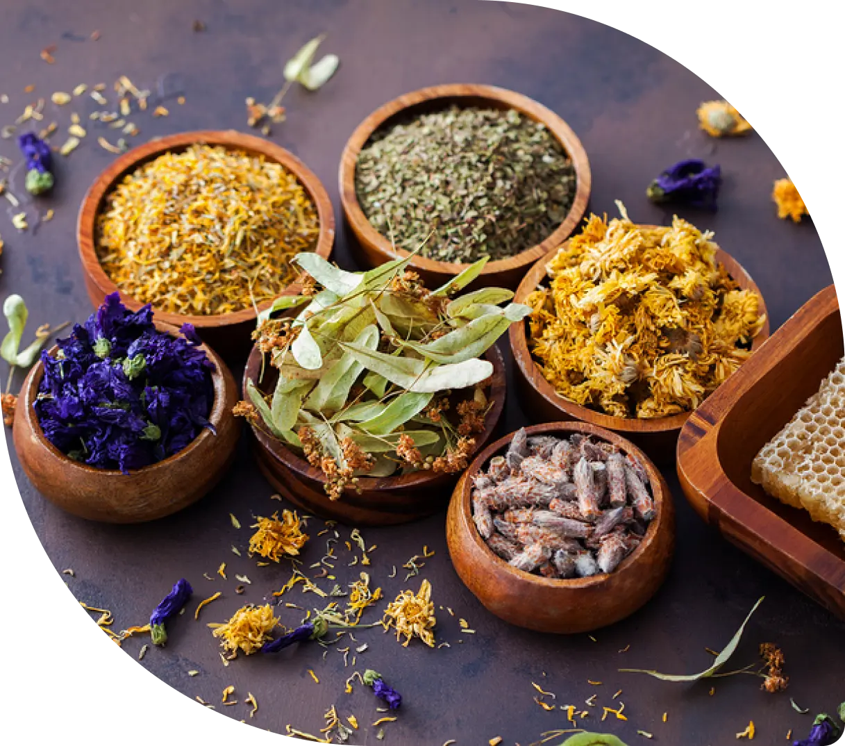Actisomal Liposomal Herbal extract